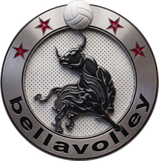 Bellavolley logo